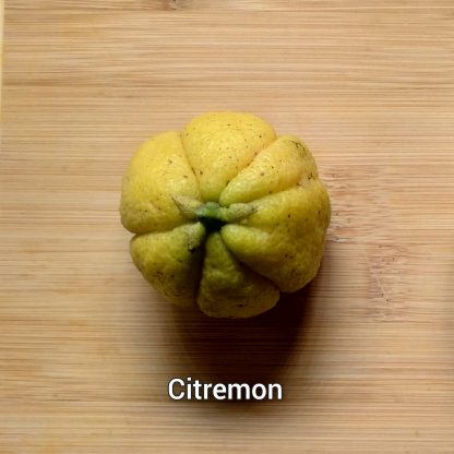 Hardy Lemon & Hybrid Trees - Image 3