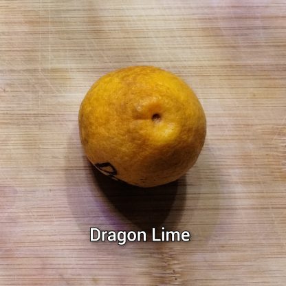 Hardy Lime & Hybrid Trees - Image 3