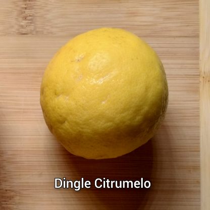 Citrumelo (Grapefruit x Trifoliate Orange) Trees - Image 4