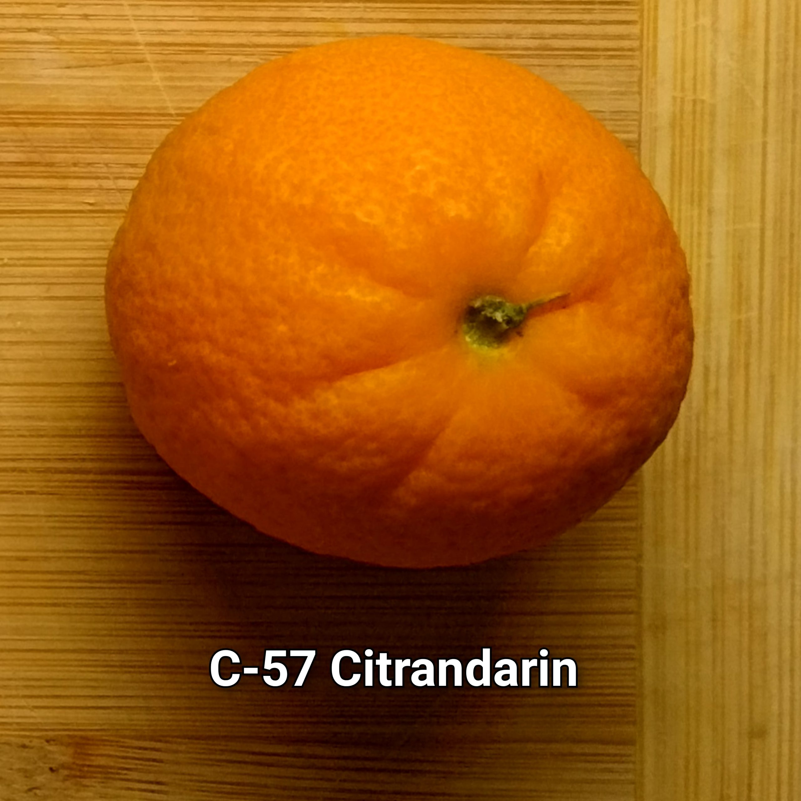 Citrandarin - Image 5